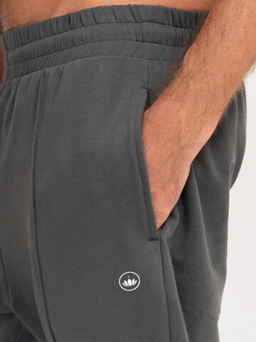 LOTUSCRAFTS Tapered Sporthose 'QUINN Mens Pants'‌‌‌‌‌ in Grau