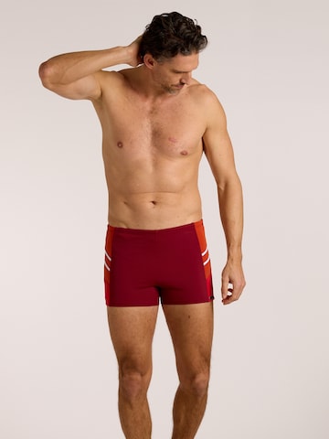 wavebreaker Swim Trunks in Red