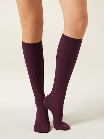 CALZEDONIA Socken in Rot: Vorderseite