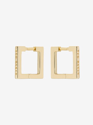 Ted Baker Earrings 'SENRII' in Gold