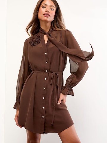 Lipsy Blusenkleid in Braun: Vorderseite