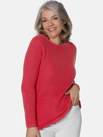 Goldner Sweater in Red: front