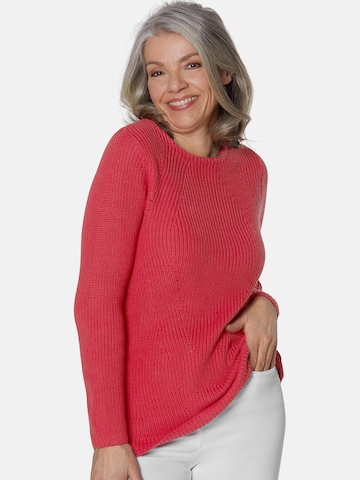 Goldner Sweater in Red: front