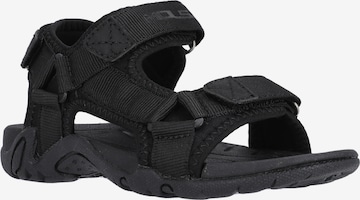 Mols Sandalen 'Arbonon' in Schwarz