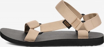 TEVA Sandale in Beige: Vorderseite