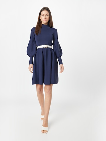 Ted Baker Dress 'NAYDINE' in Blue