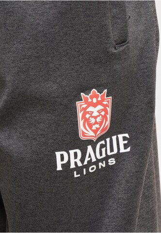 European League of Football Regular Pants in Grey