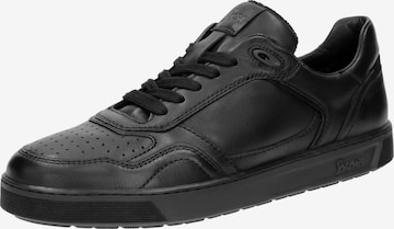 Baskets basses ' Tedroso-704 ' SIOUX en noir : devant