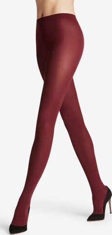 FALKE Strumpfhose 'Cotton Touch' in Rot: Vorderseite
