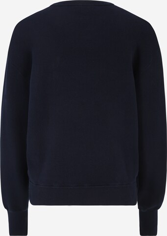 LACOSTE Pullover in Blau