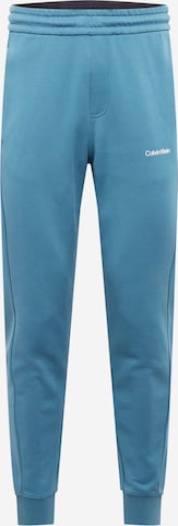 Calvin Klein Штаны в Синий: спереди