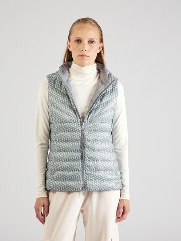 Gilet di Polo Ralph Lauren in grigio: frontale