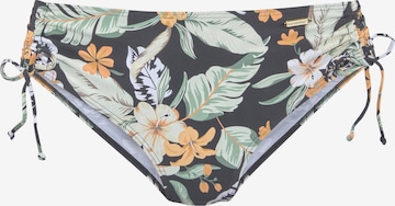 SUNSEEKER Bikini bottom in Mixed colours: front