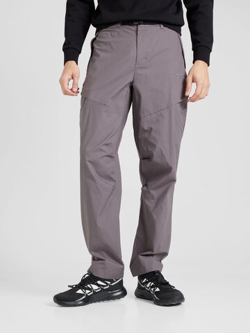 ADIDAS TERREX Regular Outdoor Pants 'Xploric' in Grey: front