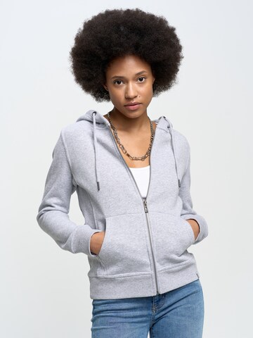 BIG STAR Zip-Up Hoodie in Grey: front