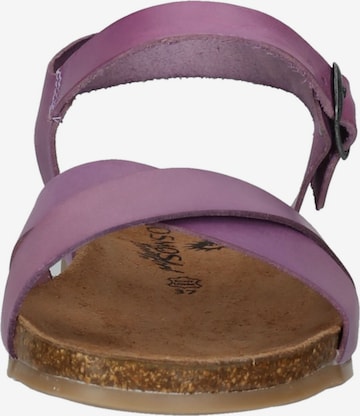 COSMOS COMFORT Sandals in Purple