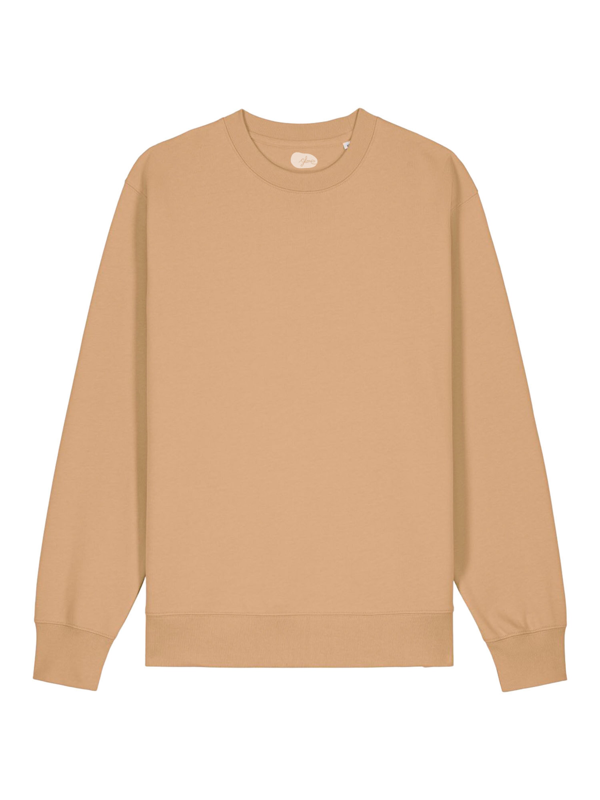 glore Sweatshirt 'Raiiner' in Brown: front