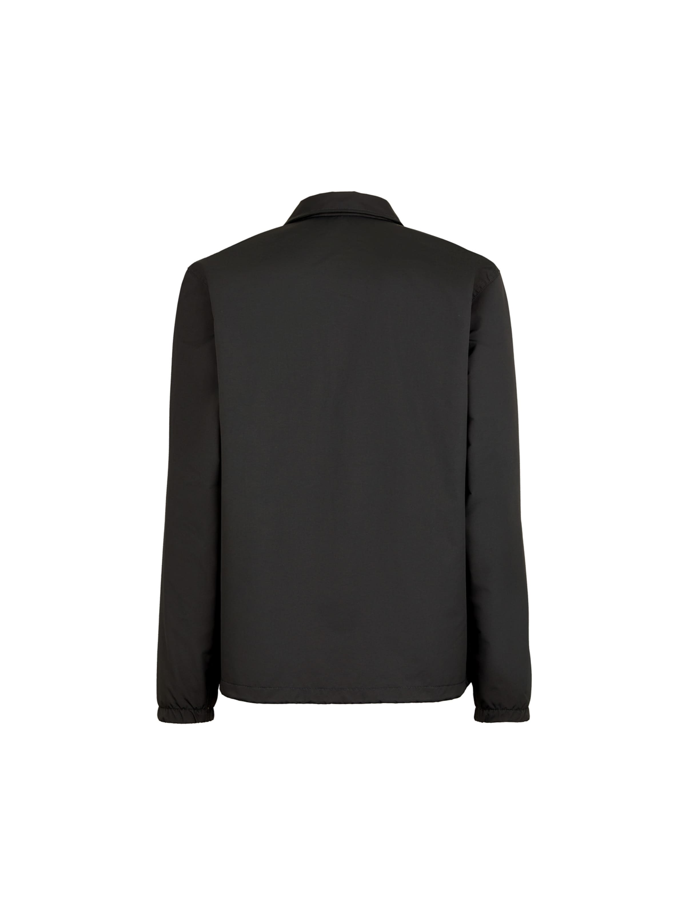 DICKIES Regular fit Átmeneti dzseki - szürke