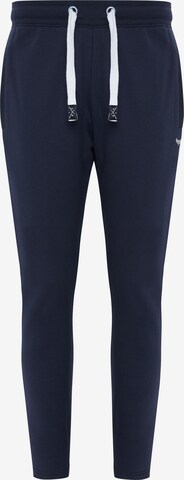 Threadbare Broek 'Mar' in Blauw: voorkant