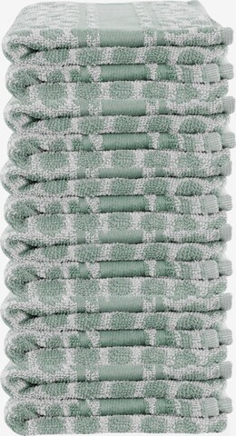 Aspero Dishcloth in Green: front