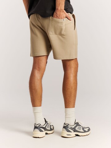 PROTEST Regular Pants 'PRTGraig' in Brown