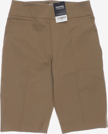 D-Exterior Shorts in XL in Brown: front
