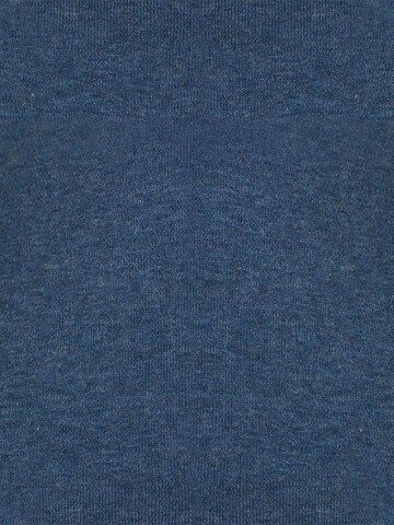 OrganicEra Sweatshirt in Blue