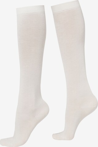 CALZEDONIA Knee High Socks in White: front
