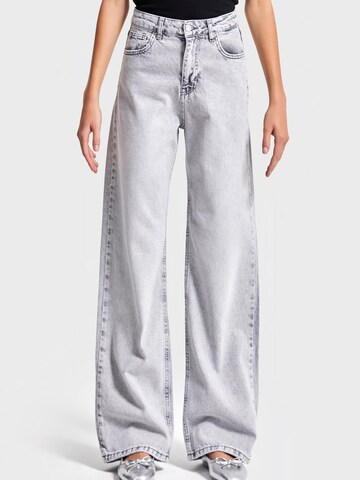 IT'S BASIC Regular Jeans 'EMMA Straight High Rise' in Grijs