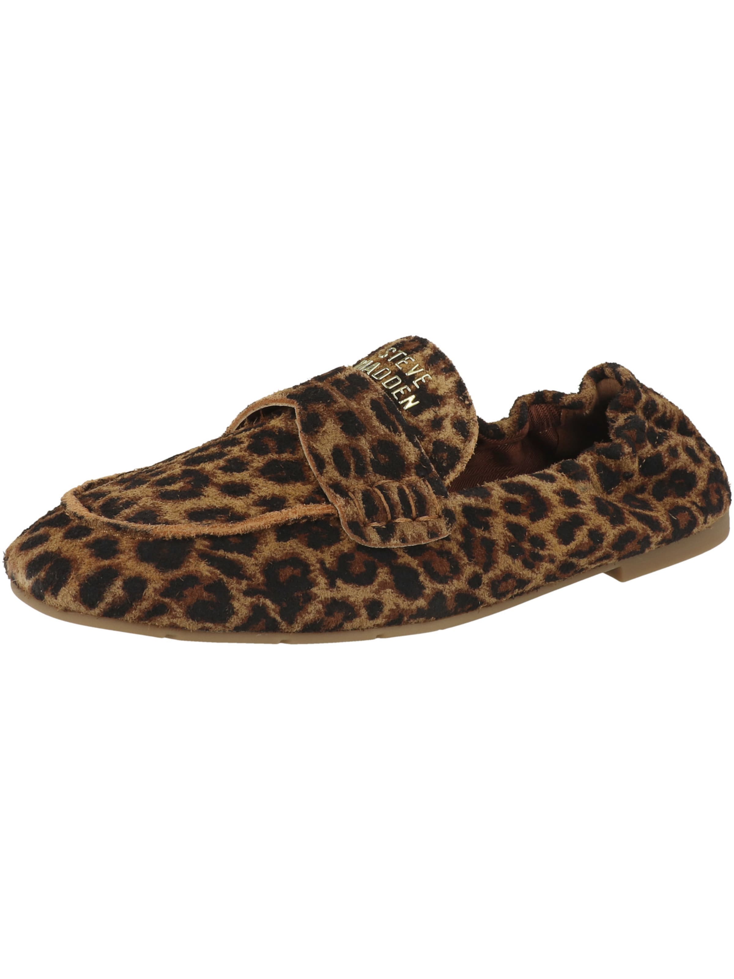 Chaussure basse ' Newbury' STEVE MADDEN en marron : devant