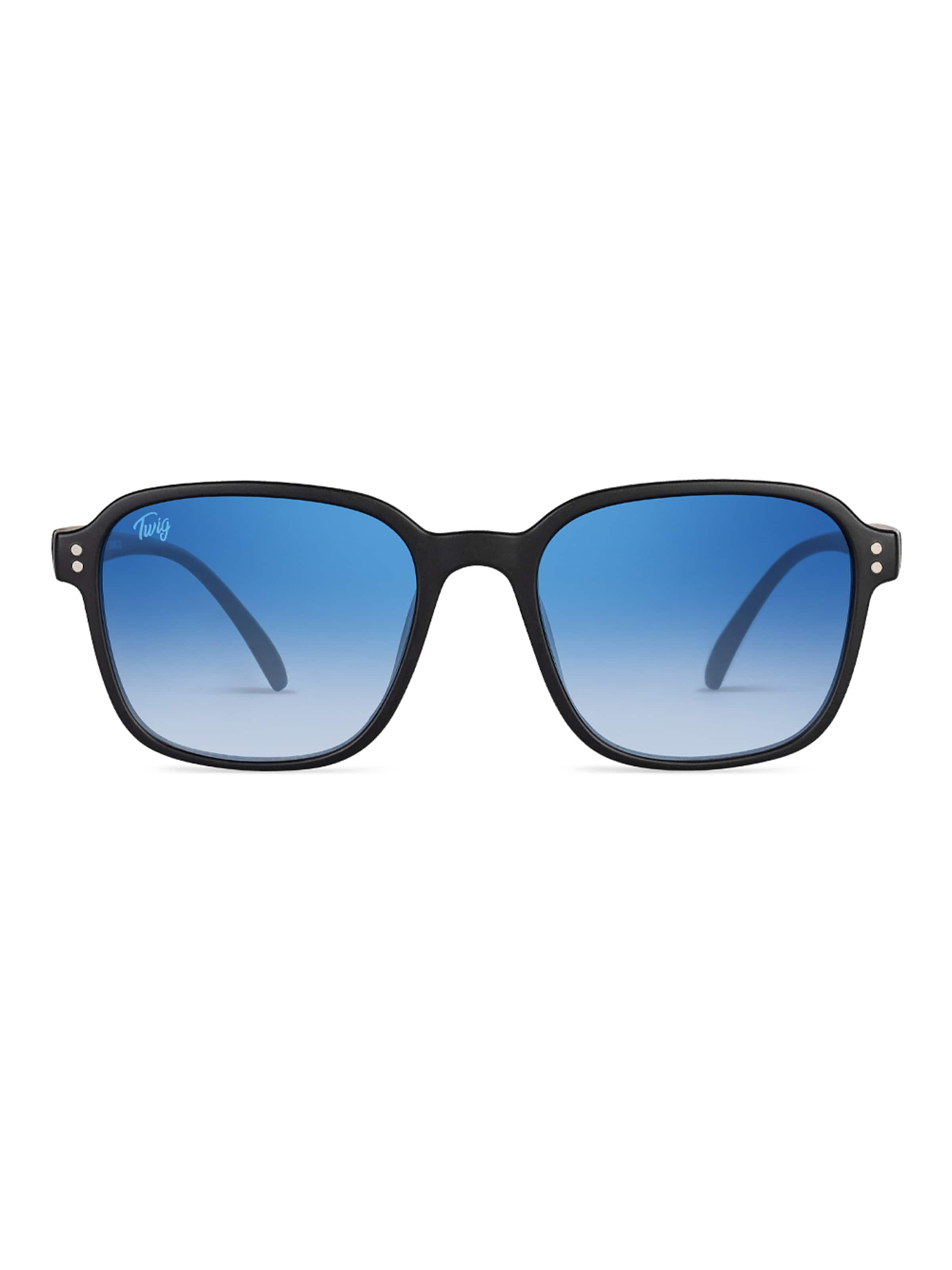 TWIG Concept Milano Sunglasses 'Signac' in Blue: front