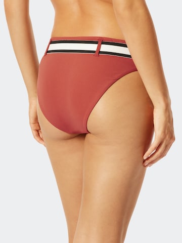 SCHIESSER Bikini Bottoms ' Aqua Californian Dream ' in Red