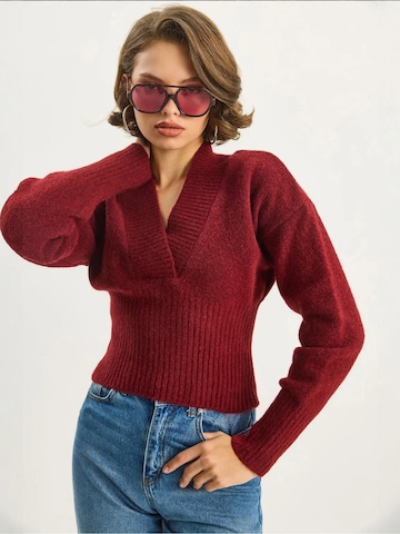 Bianco Lucci Pulóver 'Pullover' - piros