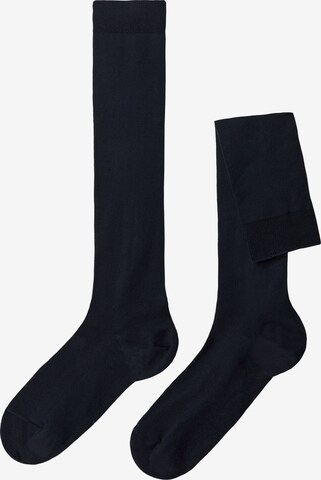 CALZEDONIA Knee High Socks in Blue: front