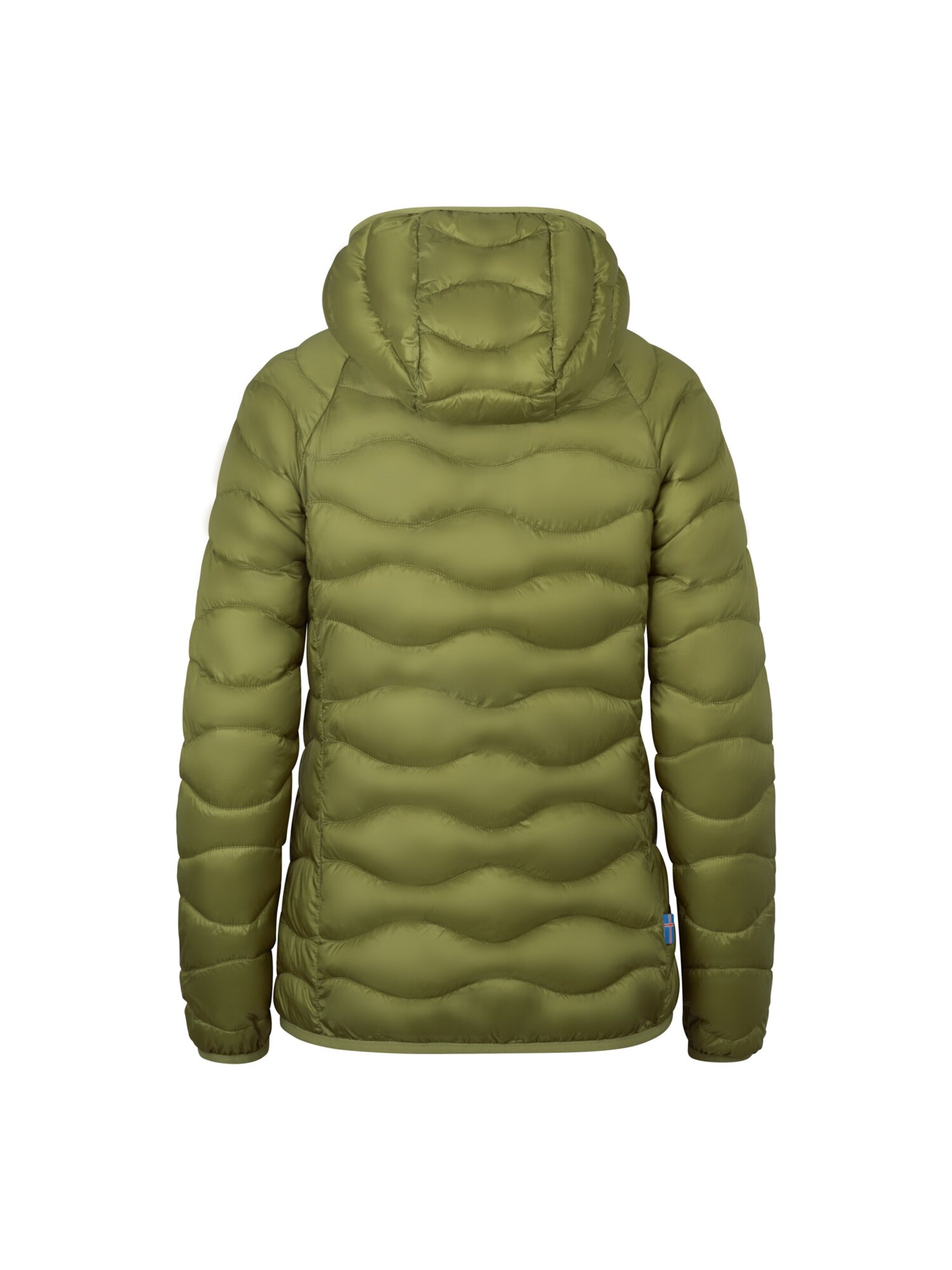 WESTFJORD Winterjacke‌‌‌‌‌‌‌‌ in Grün