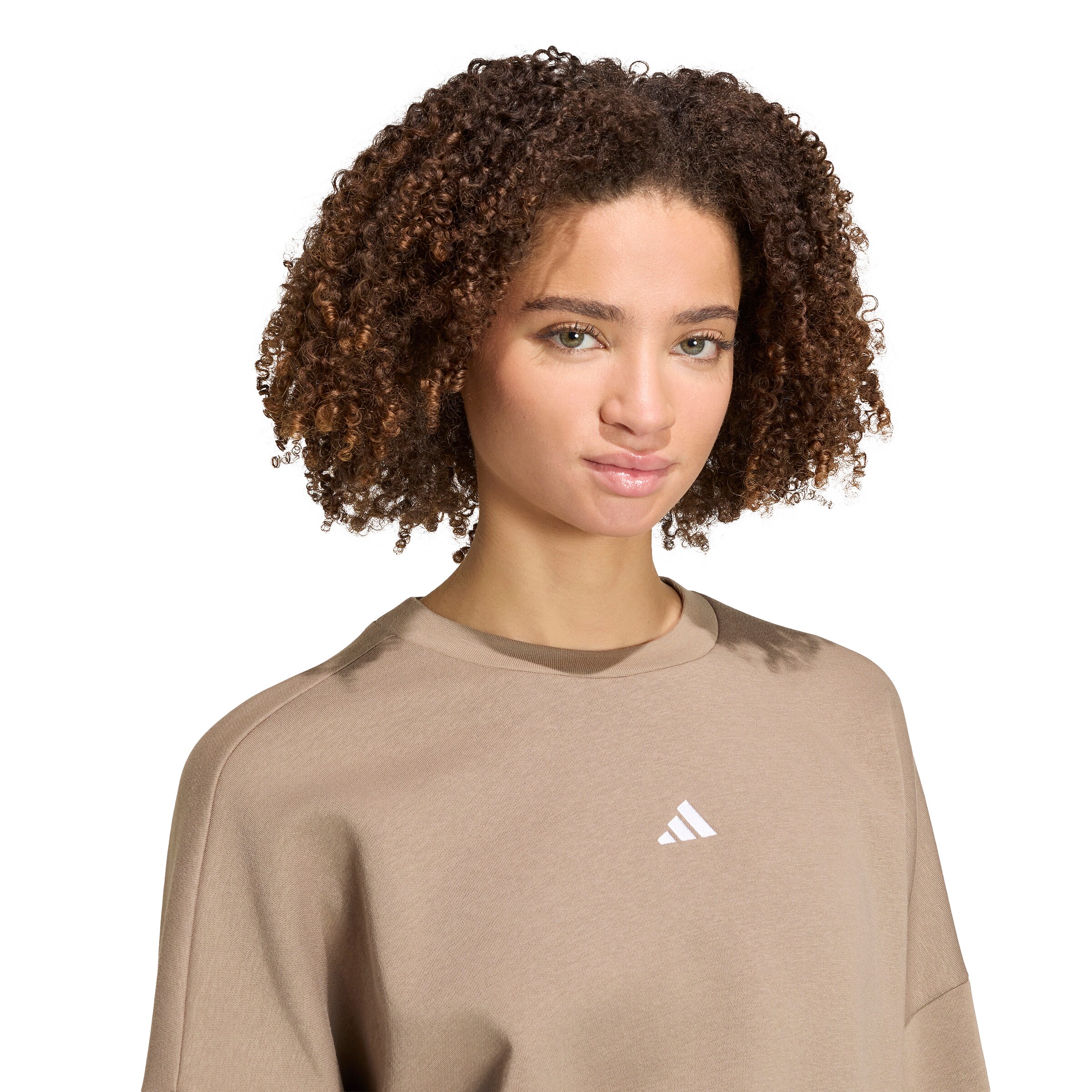 ADIDAS SPORTSWEAR Спортивный свитшот 'ESSENTIALS' в Зеленый