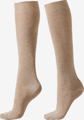 CALZEDONIA Kniestrümpfe in Orange: Vorderseite