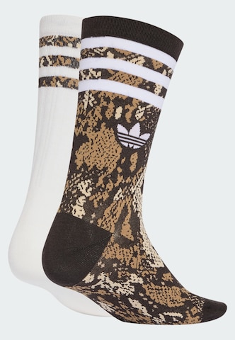 ADIDAS ORIGINALS - Meias 'Snake Crew' em castanho