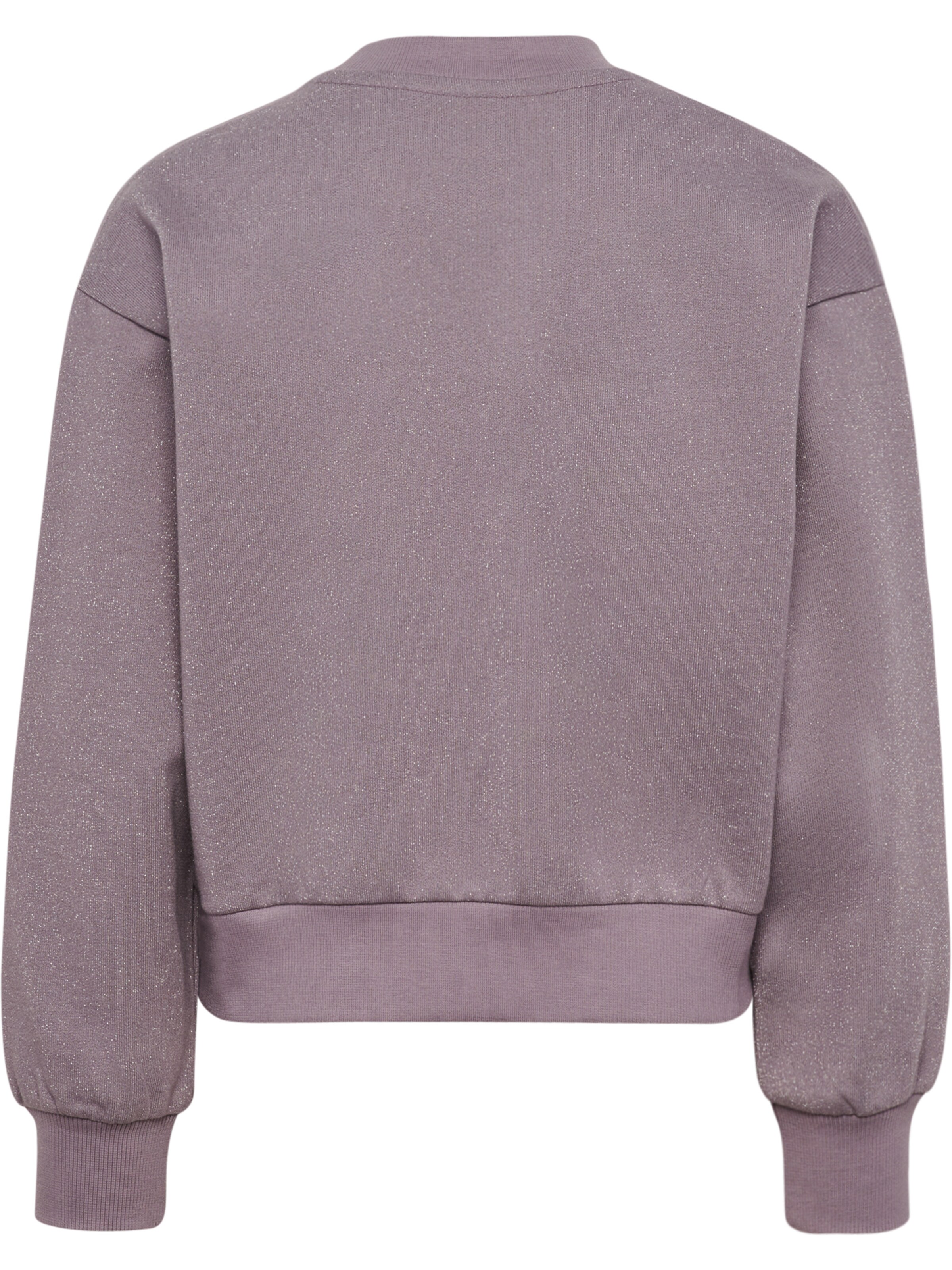 Hummel Sweatshirt in Grau