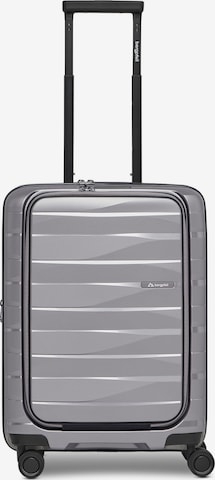 Trolley 'Travel' di Bergpfeil in grigio: frontale