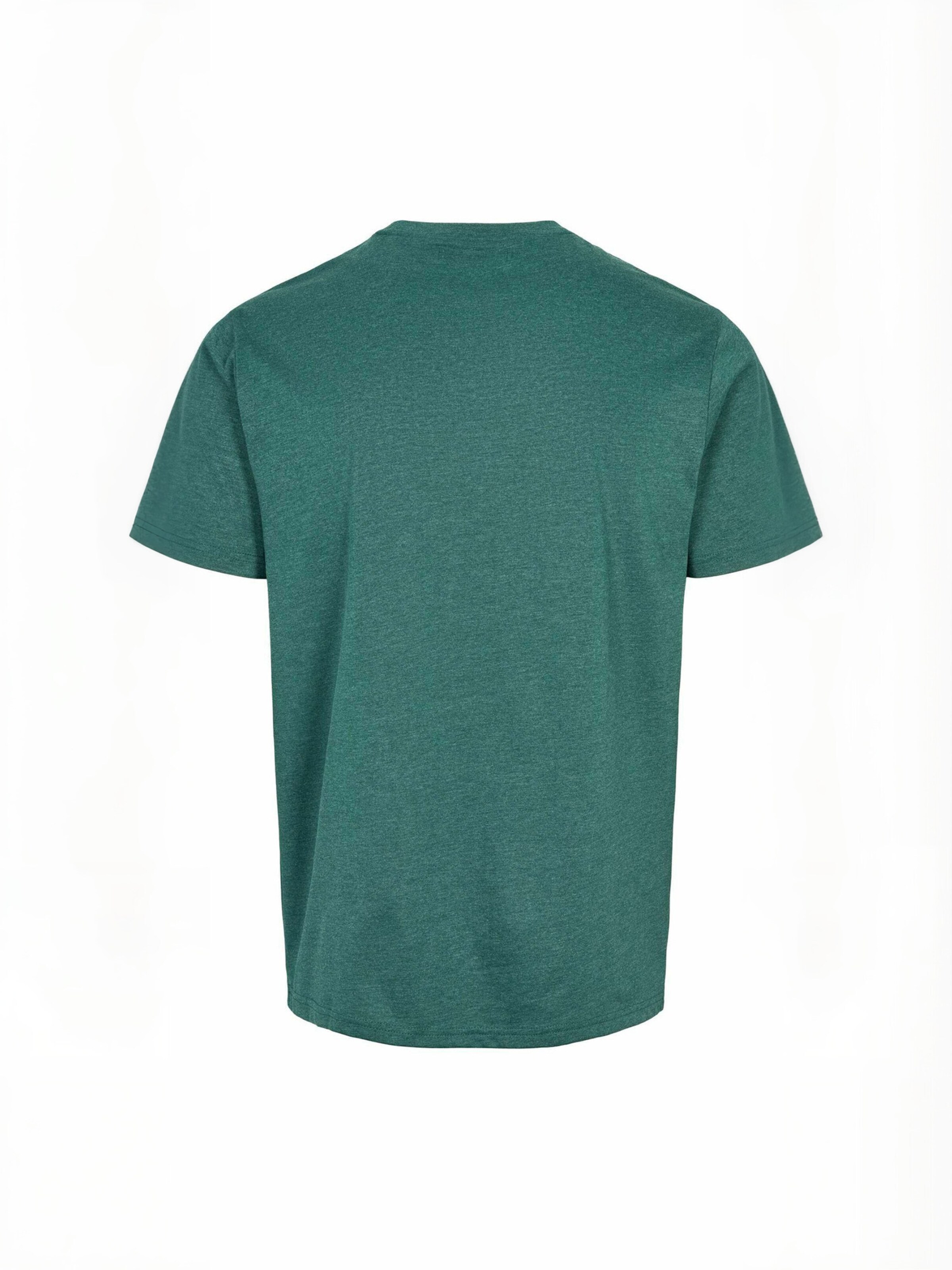 Coupe regular Chemise ' UMDamir ' U.S. POLO ASSN. en vert