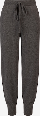 Rainbow Cashmere Regular Outdoor Pants in Grey: front