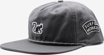 Surf Monkey - Gorra en gris: frente
