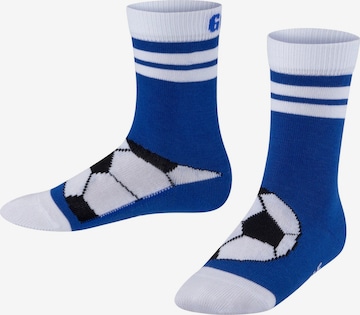 FALKE Socks 'Active Soccer' in Blue: front