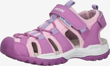 Sandales GEOX en violet : devant