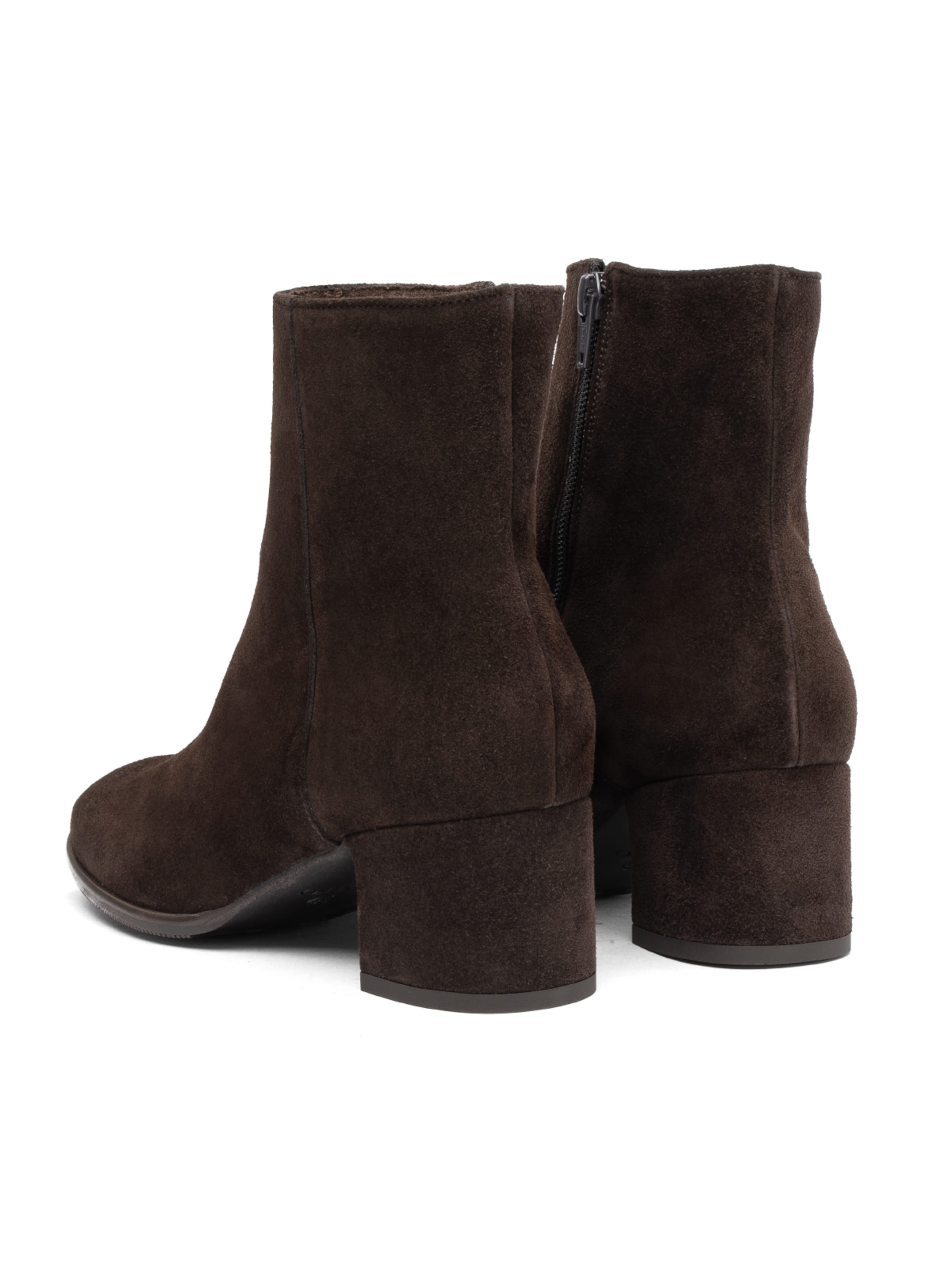 RYŁKO - Botas de tobillo en marrón