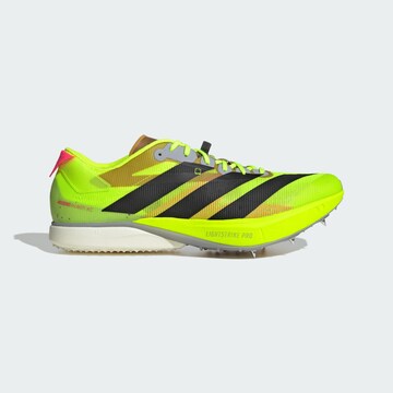 Scarpa da corsa 'Adizero Avanti XC' di ADIDAS PERFORMANCE in verde