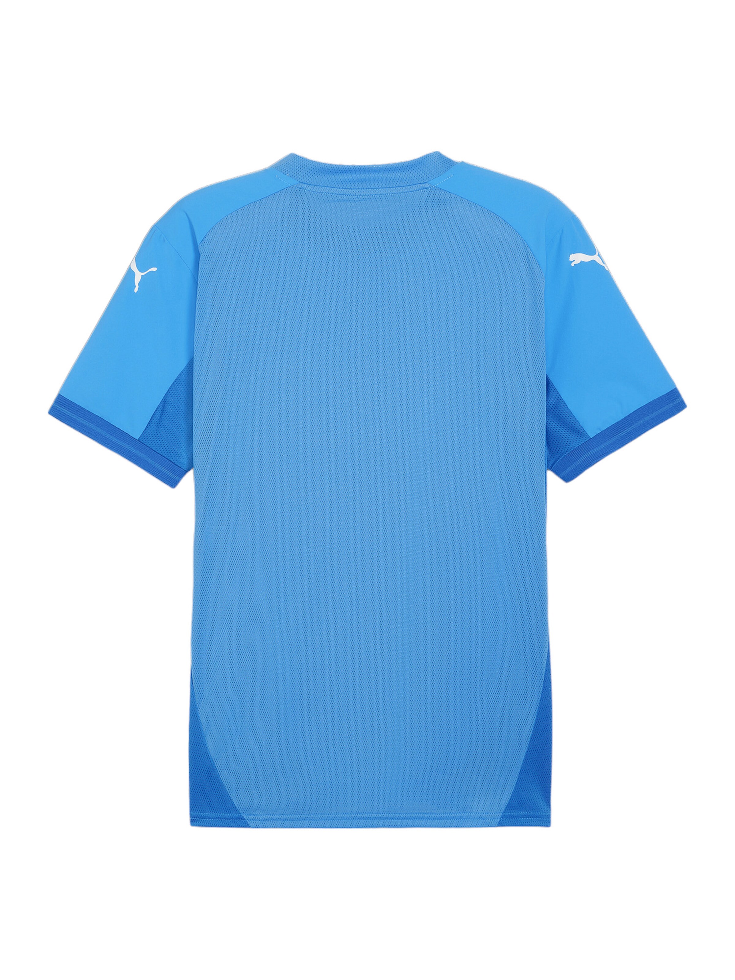 PUMA Funktionsshirt in Blau