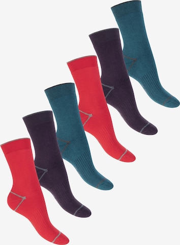 footstar Socks 'EVERYDAY!' in Mixed colors: front