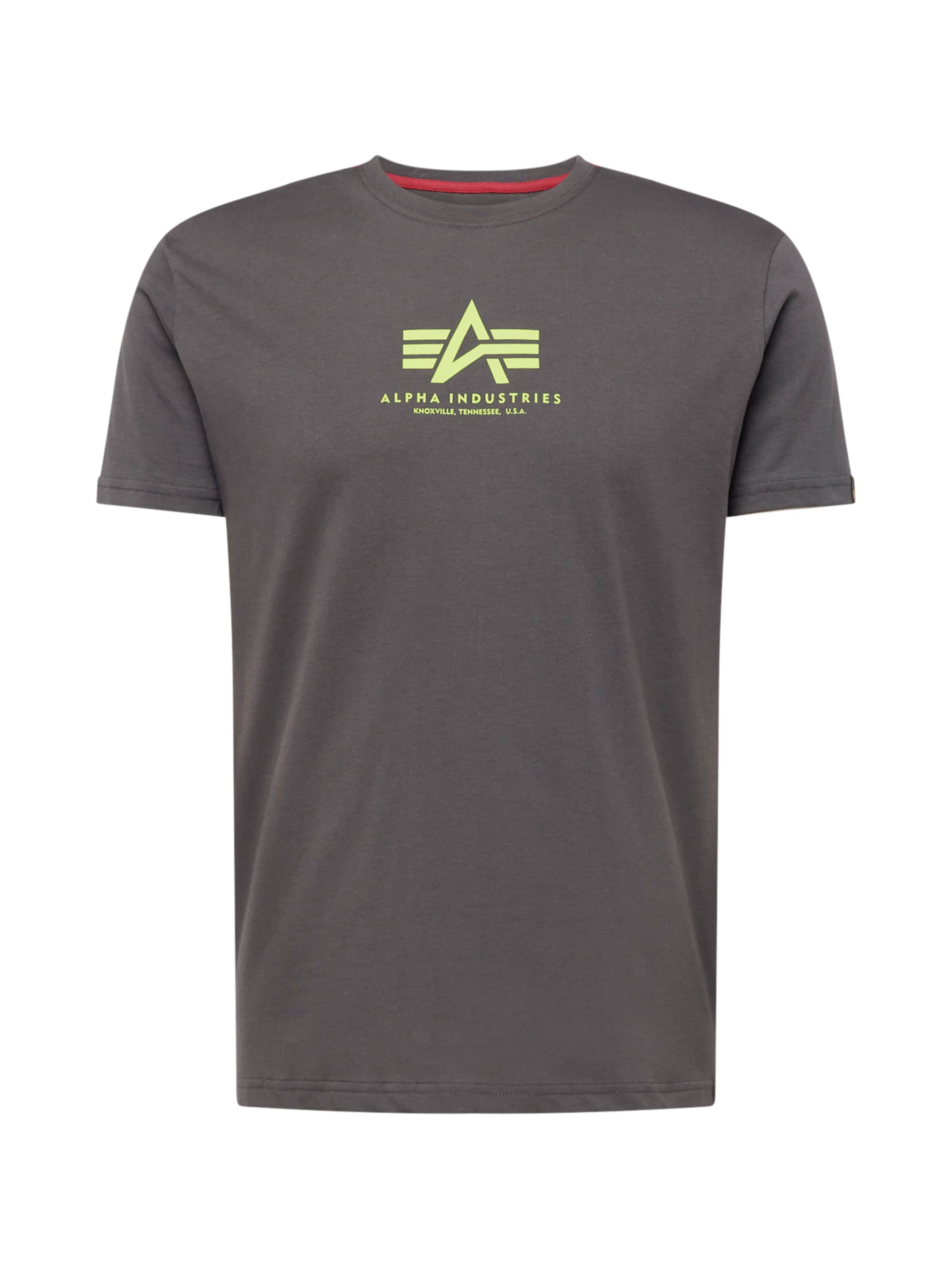 ALPHA INDUSTRIES Bluser & t-shirts i grå: forside